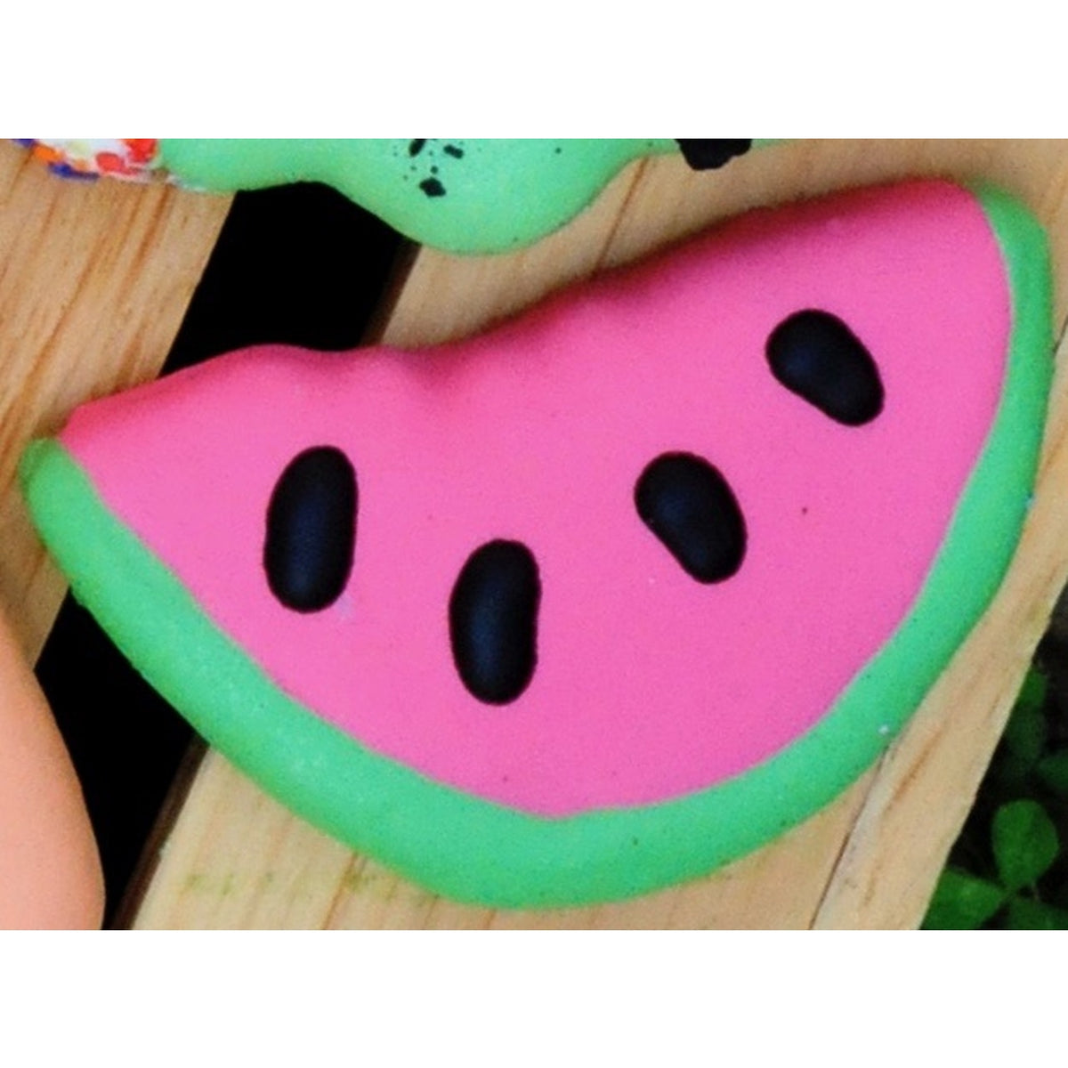 Watermelon - Dog Treat