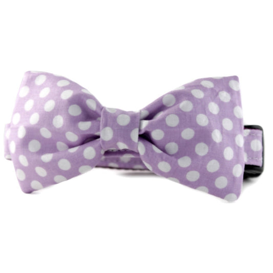 Lilac Dot Bow Tie Dog Collar Large