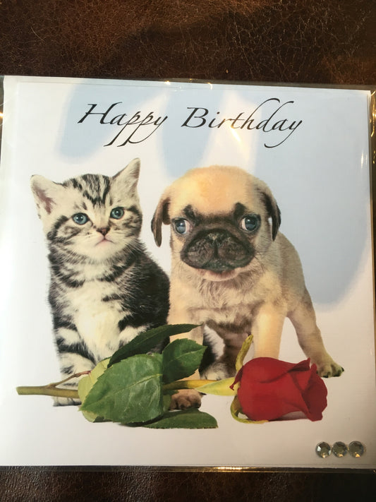 Happy Birthday kitten and Pug card