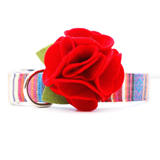 Dog Collar Hydrangea Flower