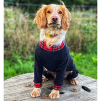 Pawsome Suits 4 Leg Dog Suit Check and Tartan Collection