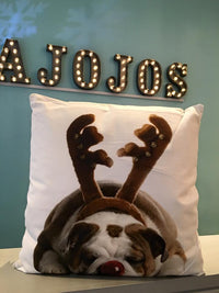 Christmas Cushions