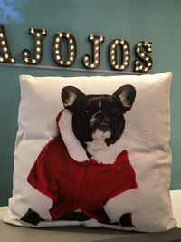 Christmas Cushions