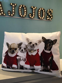 Christmas Cushions