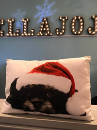 Christmas Cushions