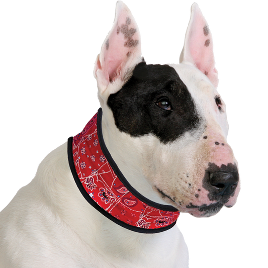 Aqua Coolkeeper® Cooling Dog Collar