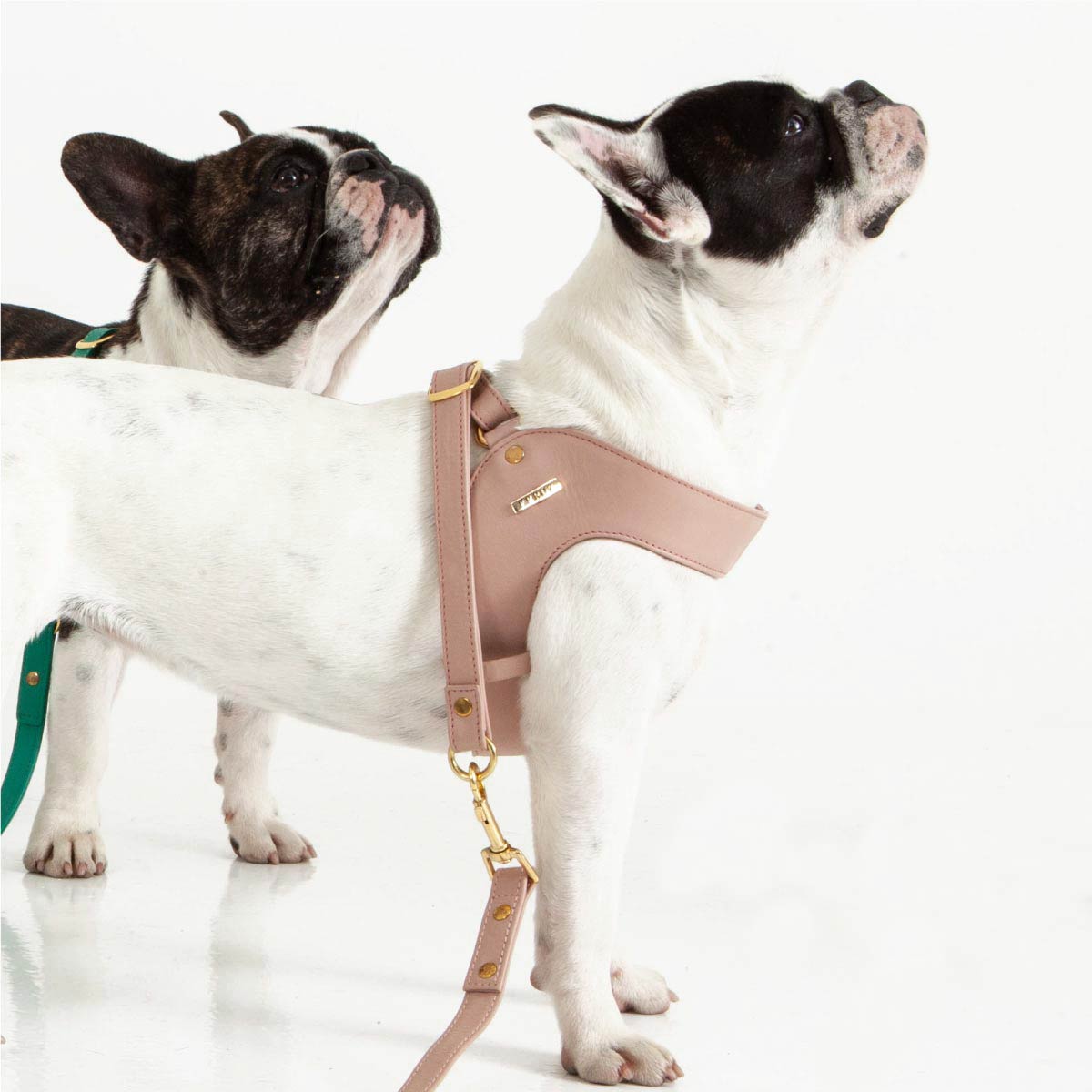 Dusty Rose Dog Leather Harness