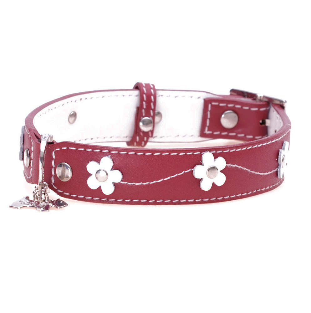 Hamish mcbeth shop dog collar