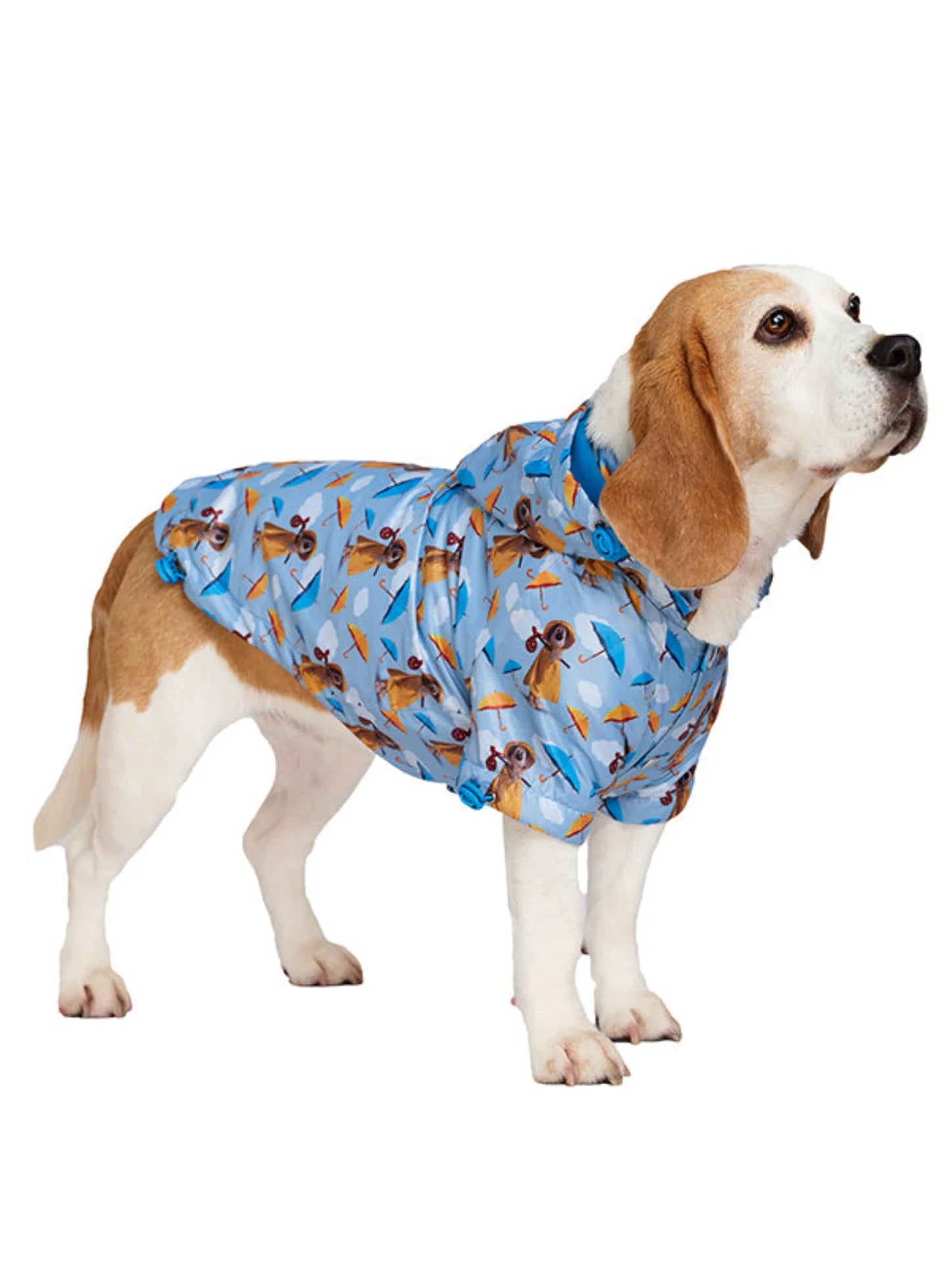 Urban Pup Gromit's Dog Raincoat