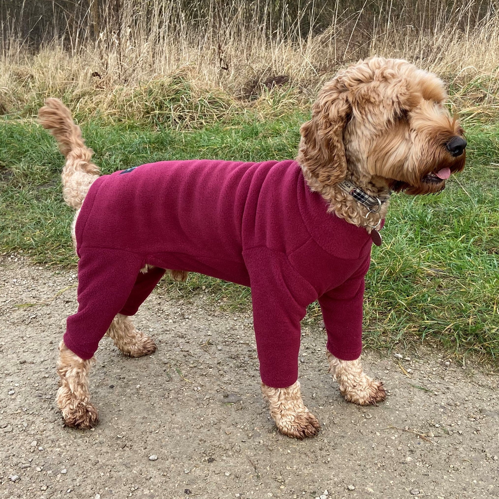 Pawsome Suits 4 Leg Dog Suit in Polar Fleece PS11 BellaJoJos