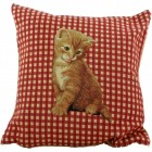 Kitten Checked Cushion