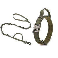 Pet Play Day Metal Buckle Collar and Lead Combo- Green