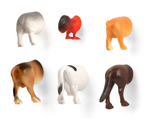 Kikkerland Butt Magnets