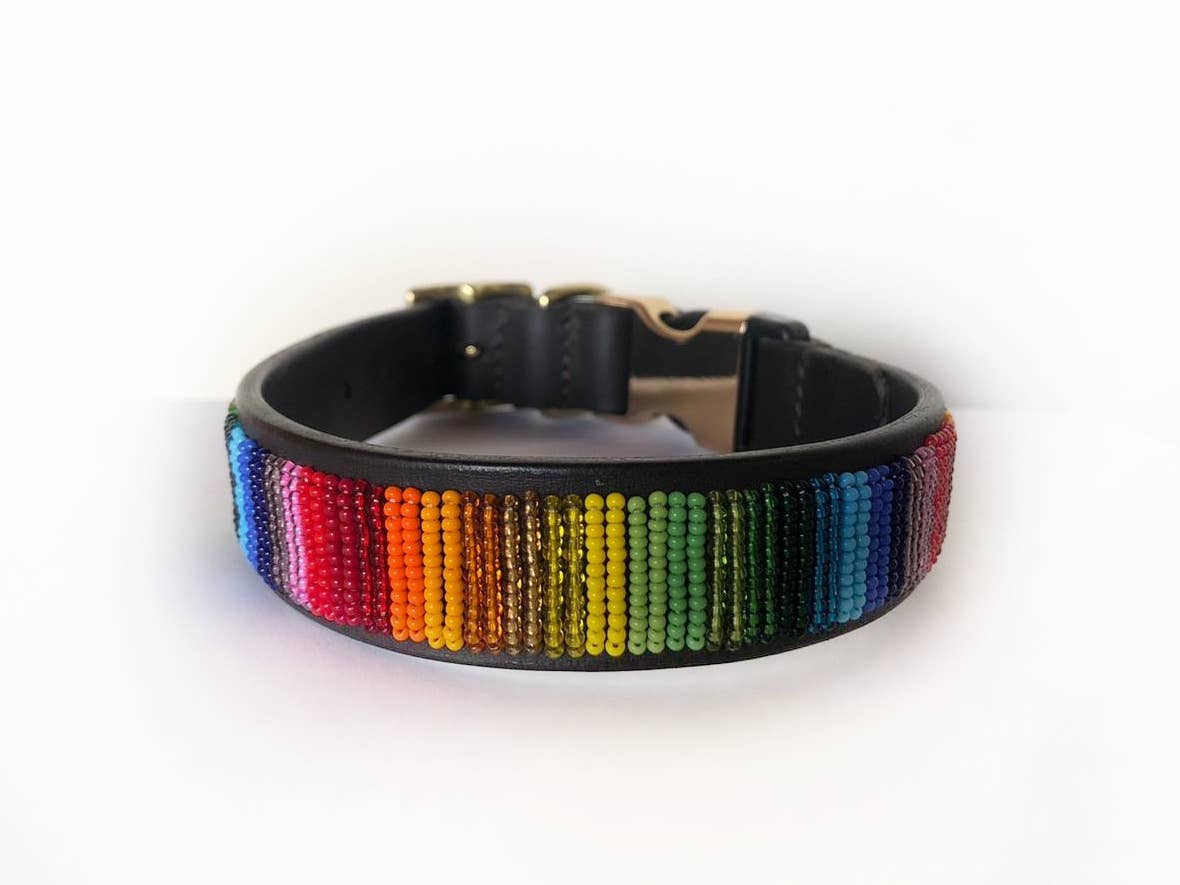 Rainbow Style Dog Collar