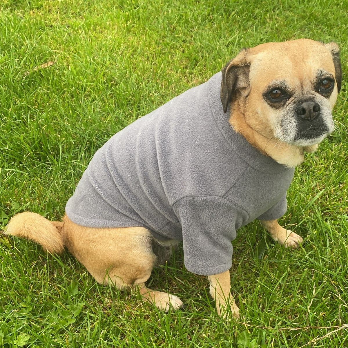 Pawsome Suits French Bulldog / Pug Jumper Fleece (PS12)
