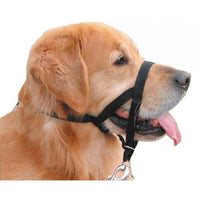 Black Padded Halti Dog Headcollar