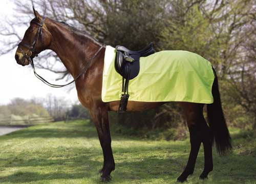 High Viz Exercise Sheet