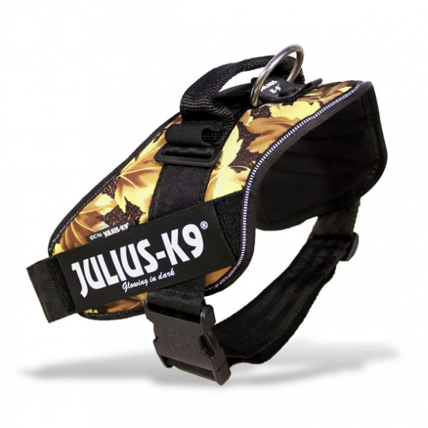 Size 2 sales julius k9 harness