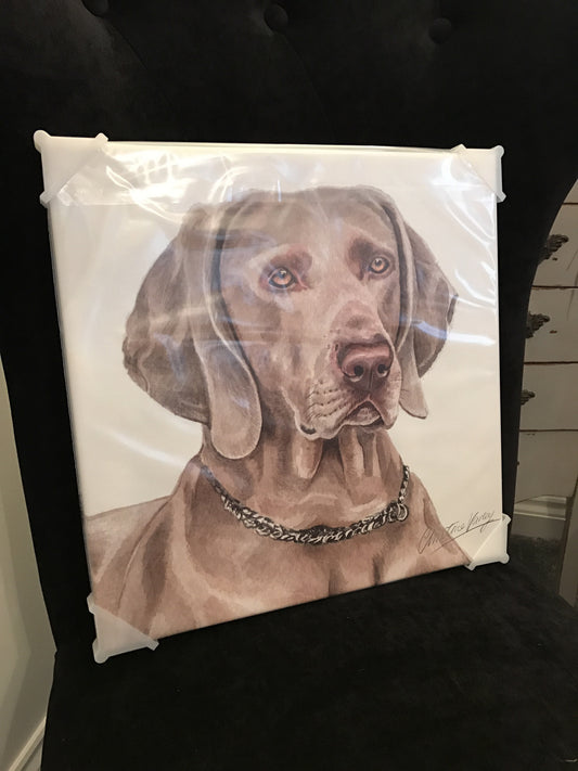 Waggy Dogz Weimaraner canvas