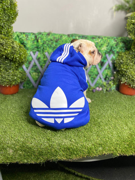 Adidas Style Dog Hoodie