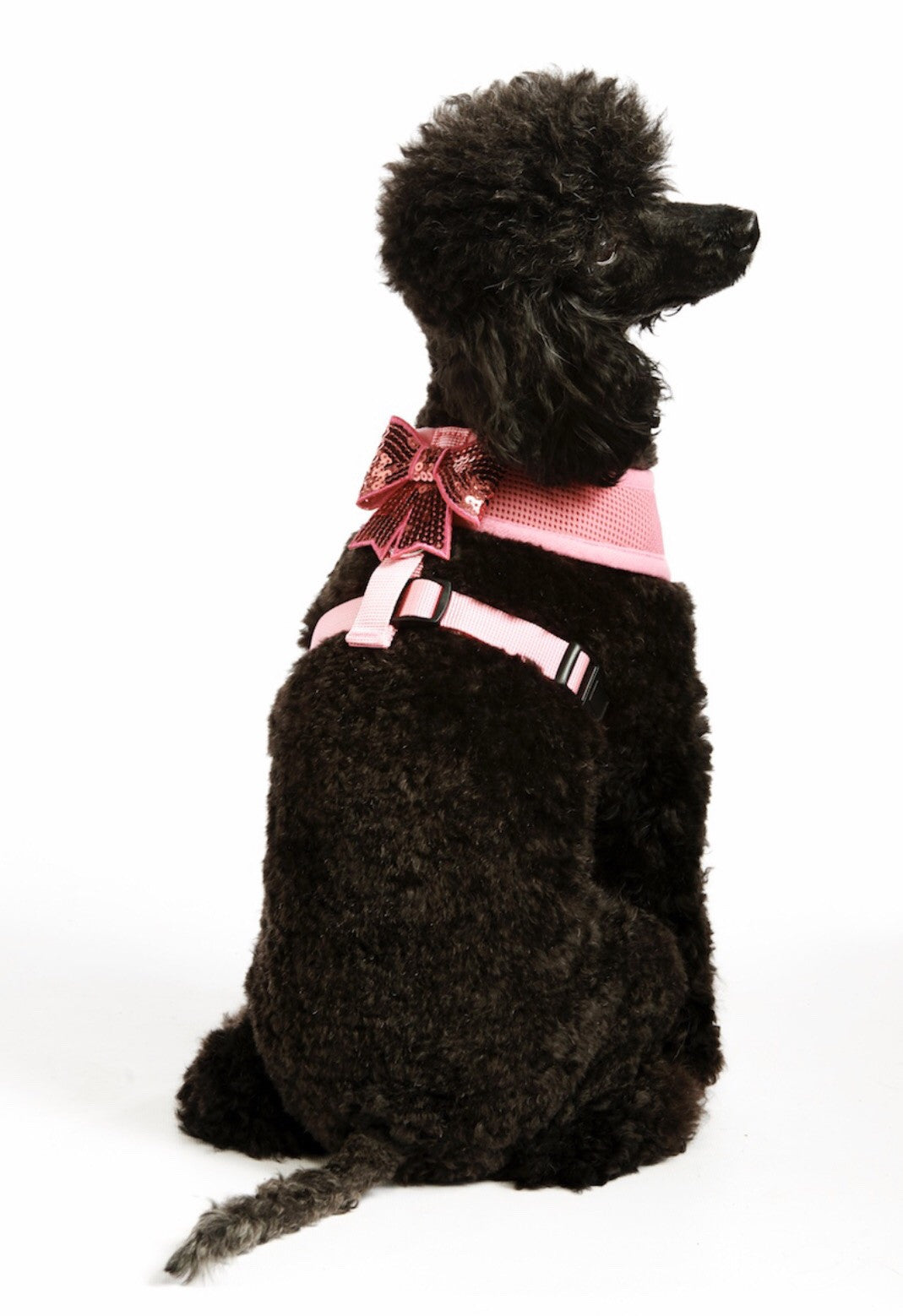 Sparkly Bow Harness