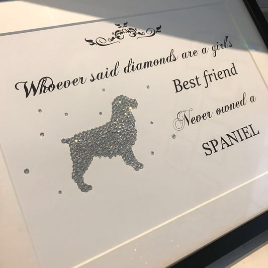 SWAROVSKI Encrusted Framed Prints