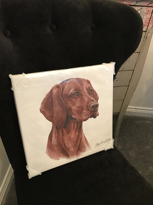 Waggy Dogz Vizsla Canvas