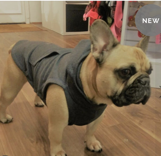 Dogissimo Grey Hoodie for Datchunds