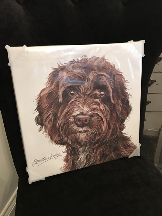 Waggy Dogz cockerpoo Canvas
