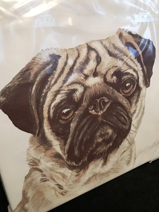 Waggy Dogz Pug Canvas