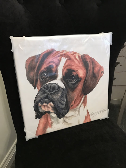 Waggy Dogz Boxer Canvas