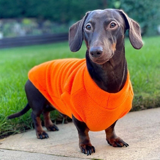 Pawsome Suits Dachshund Jumper Fleece