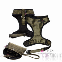 3 Piece Pretty Pet Harness Set