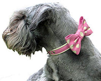 Holly & Lil Bow Belle Leather Polka Dot Collar