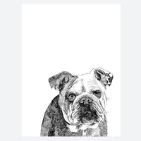 Ros Shiers Dog Prints
