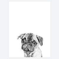 Ros Shiers Dog Prints