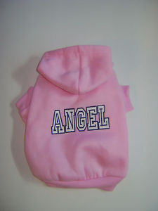 Angel Hoodie