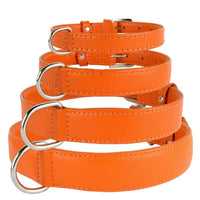 Colourful Leather Dog Collar Metal Buckle